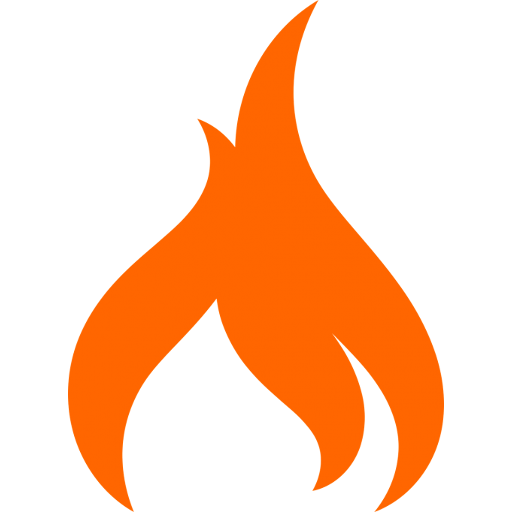 Bushfire.io icon